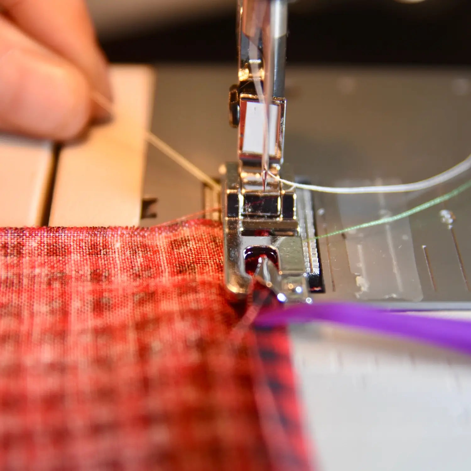 Long tail guiding with purple thing in front