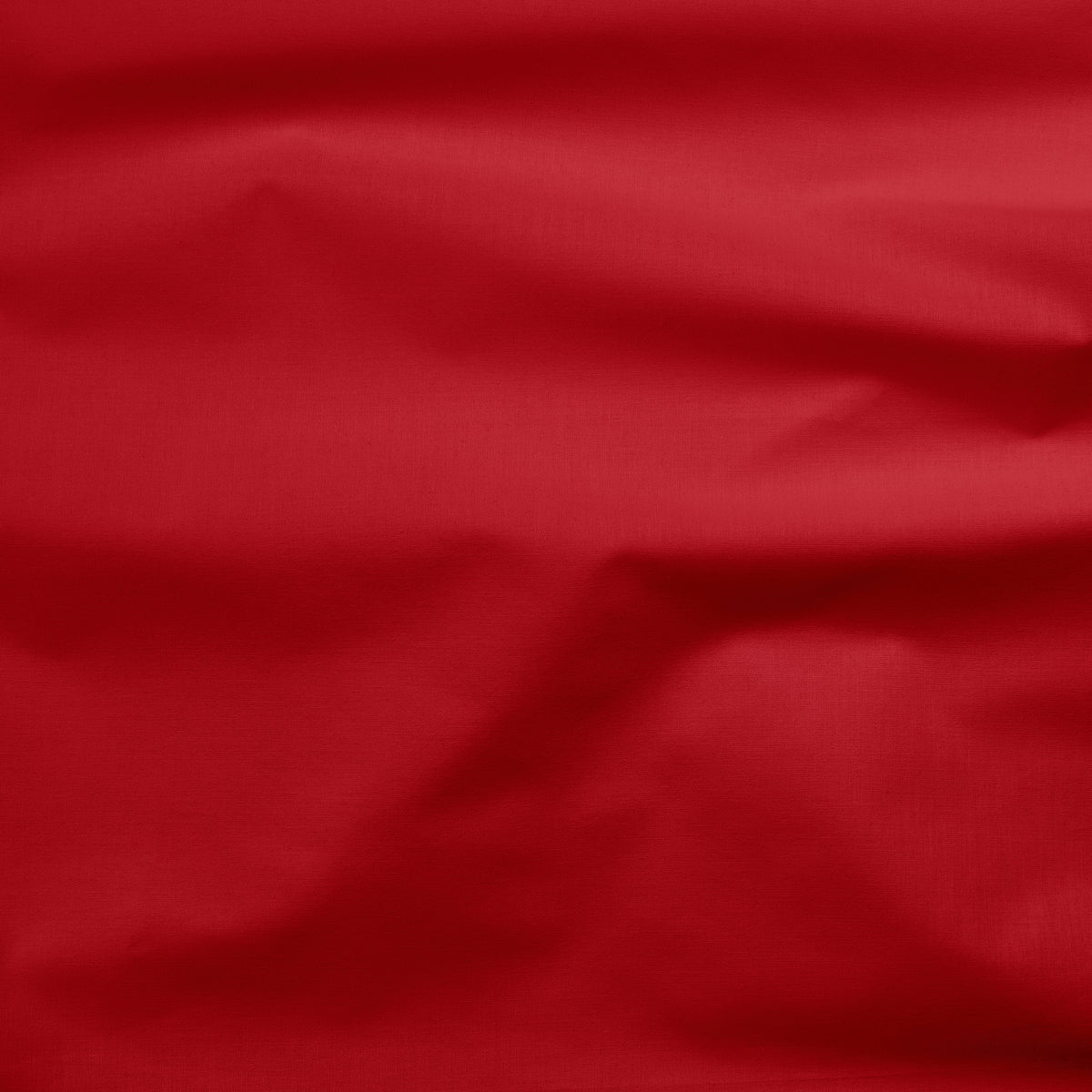 Painter's Palette Solid Crimson