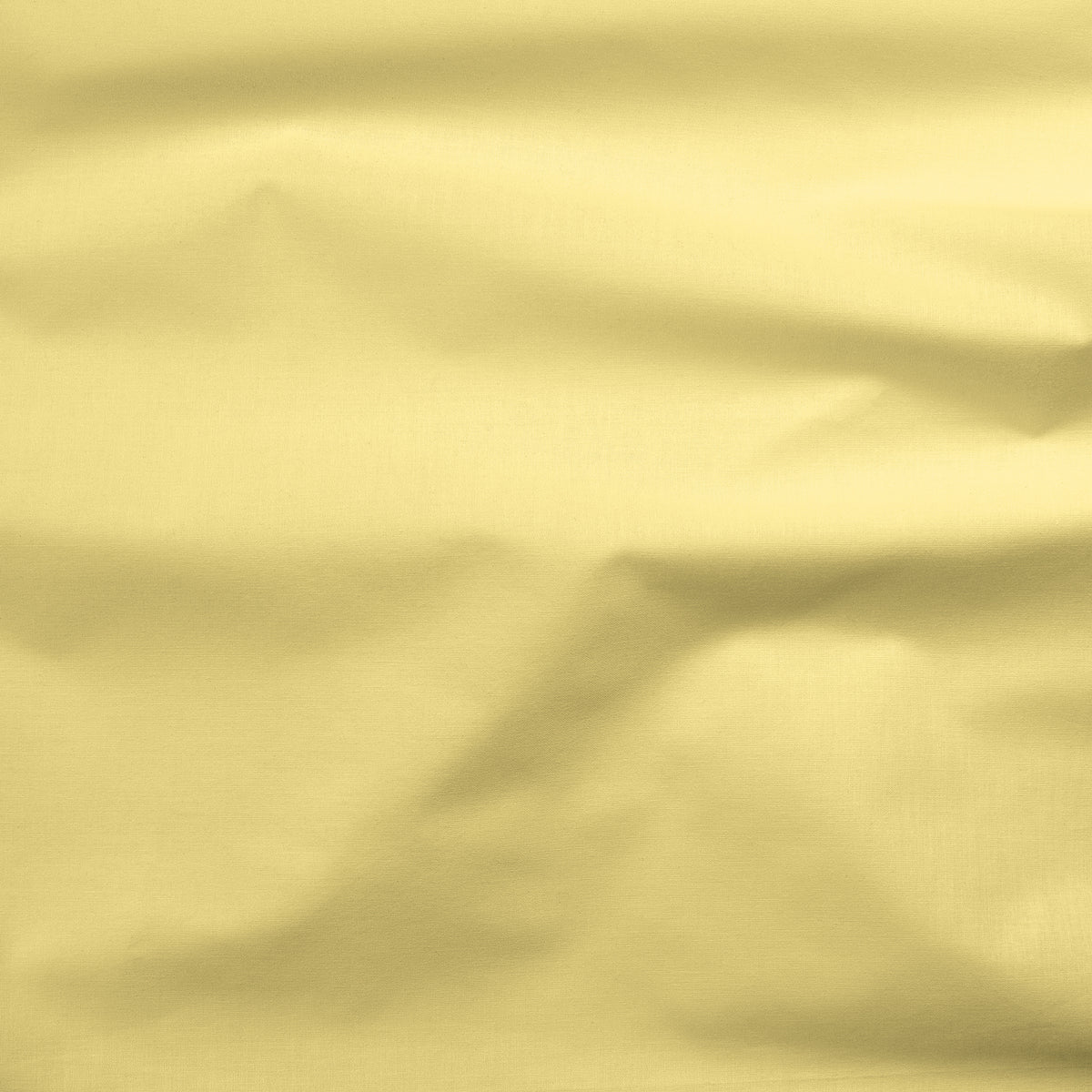 Painter's Palette Solid Banana