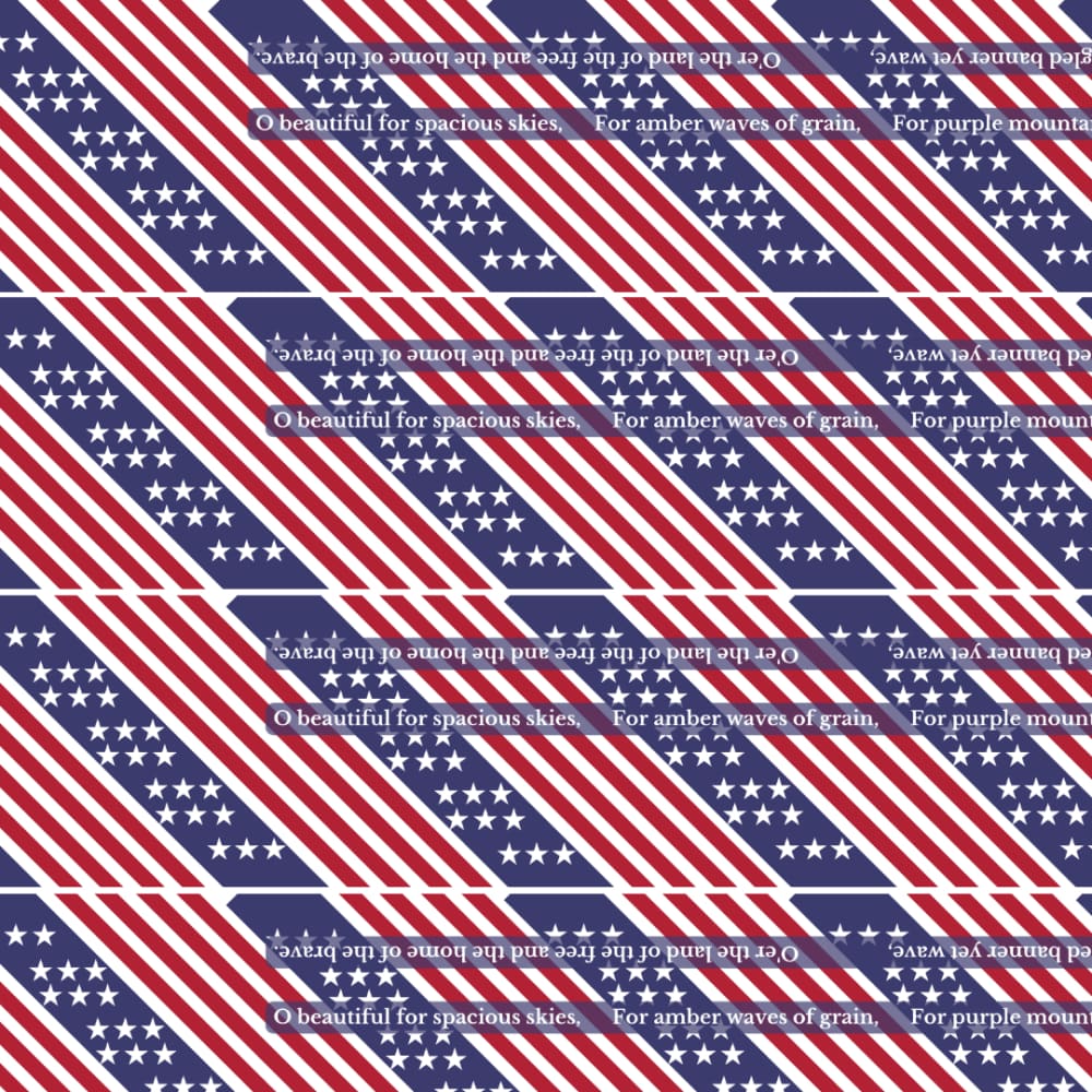 BOLT of Perfect Binding Yardage Patriotic - Fabric