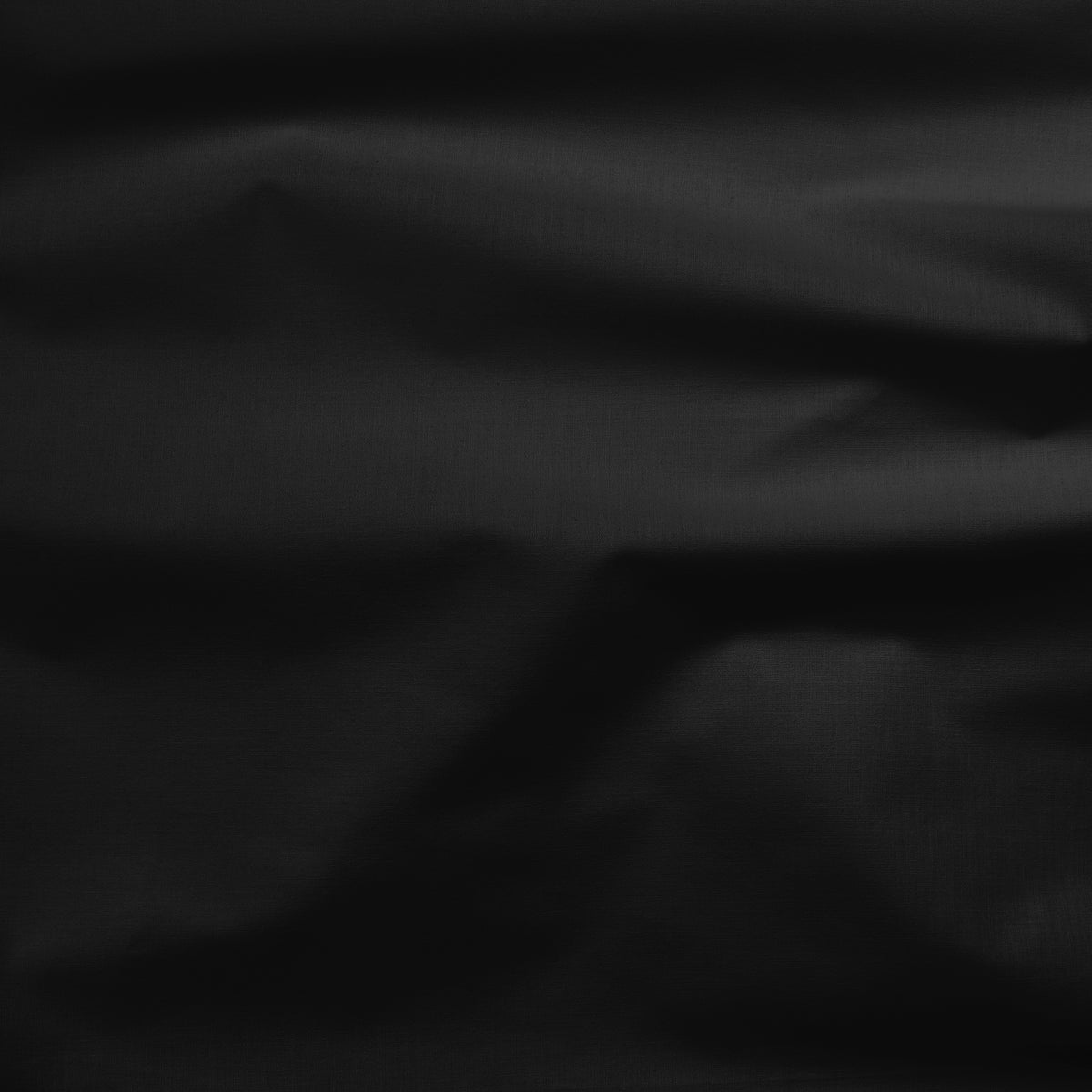 Painter's Palette Solid in Ebony