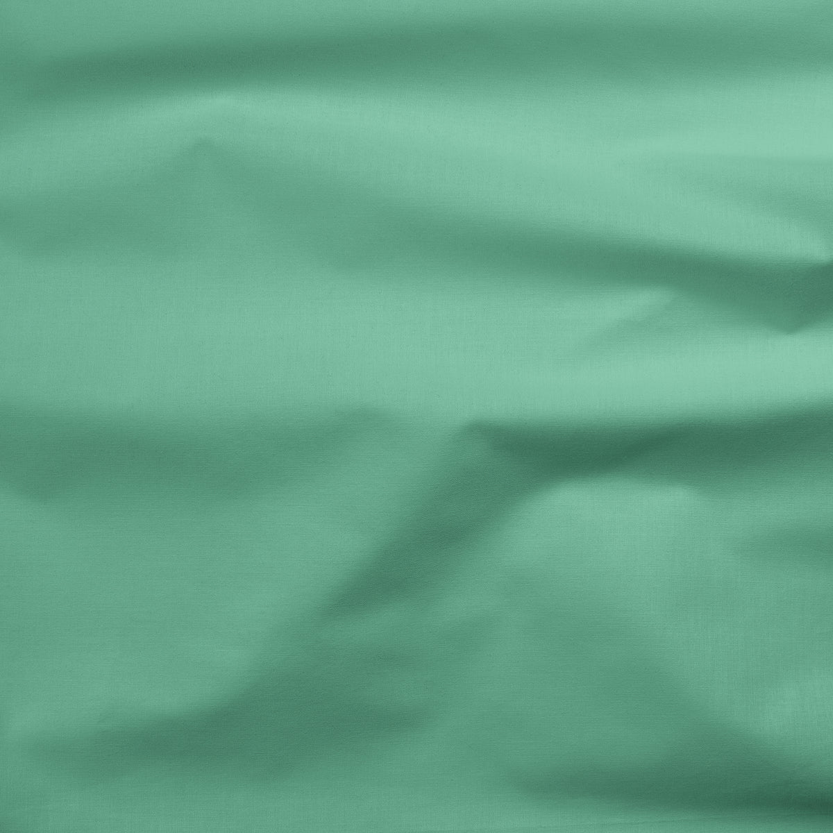 Painter's Palette Solid Jade