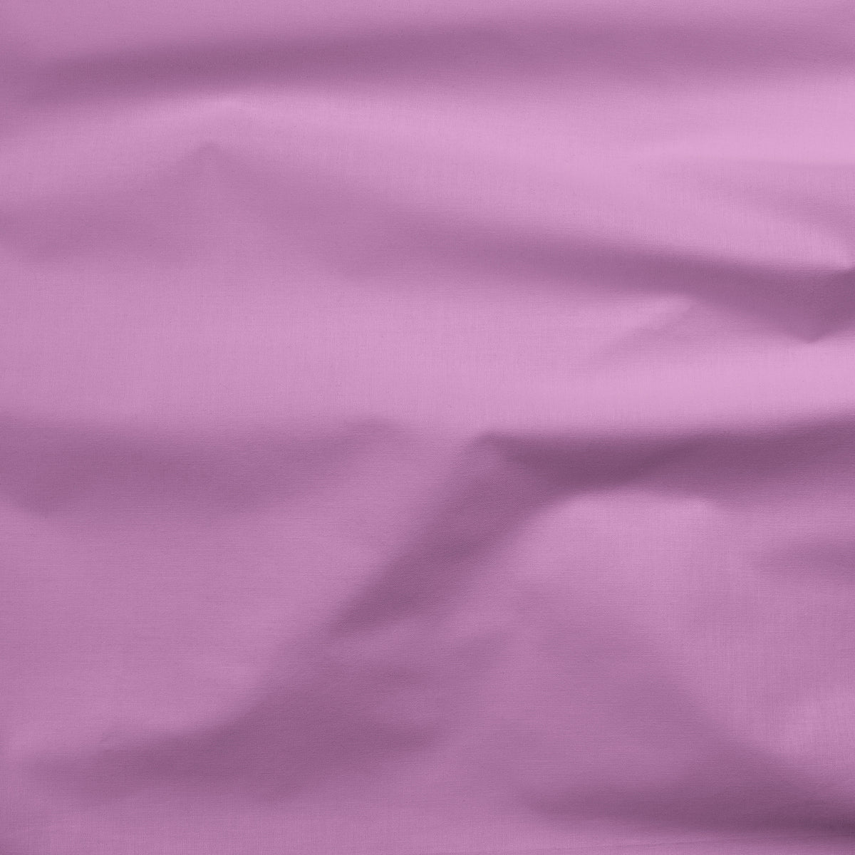 Painter's Palette Solid Lilac