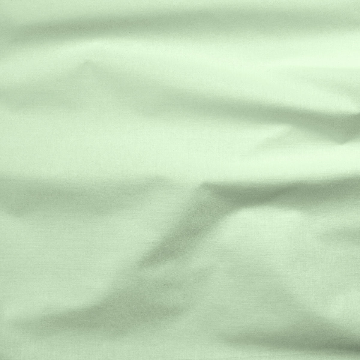 Painter's Palette Solid Limelight