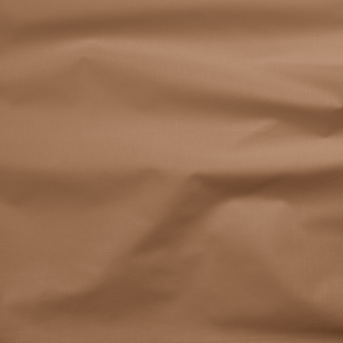 Painter's Palette Solid Tan