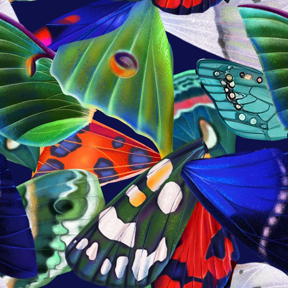 Wingtoss Fabric - Fabric